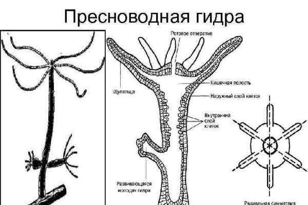 Кракен даркнет kraken014 com