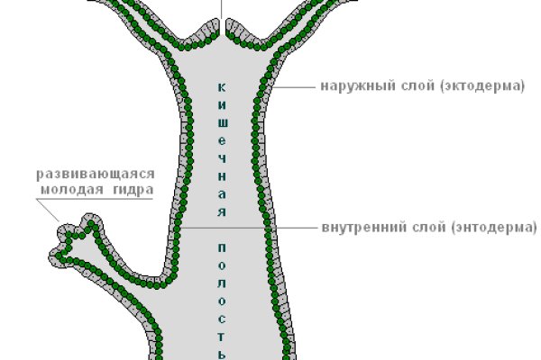 Ссылка на сайт кракен в тор браузере